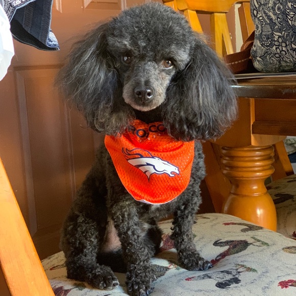 Meet your Posher, Sandra - Picture 6 of 8